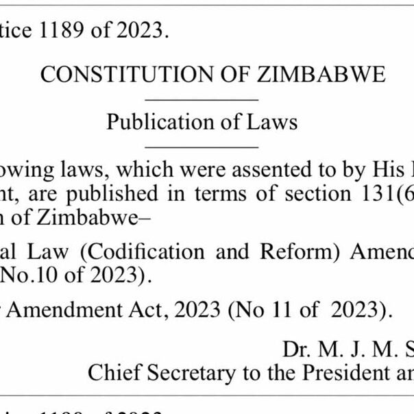 Labour Amendment Act No. 11 of 2023